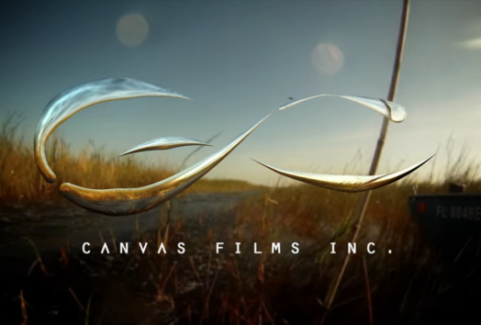 Behind the Scenes – Canvas Films: Miami